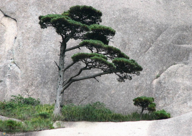 IJuA3t.jpg