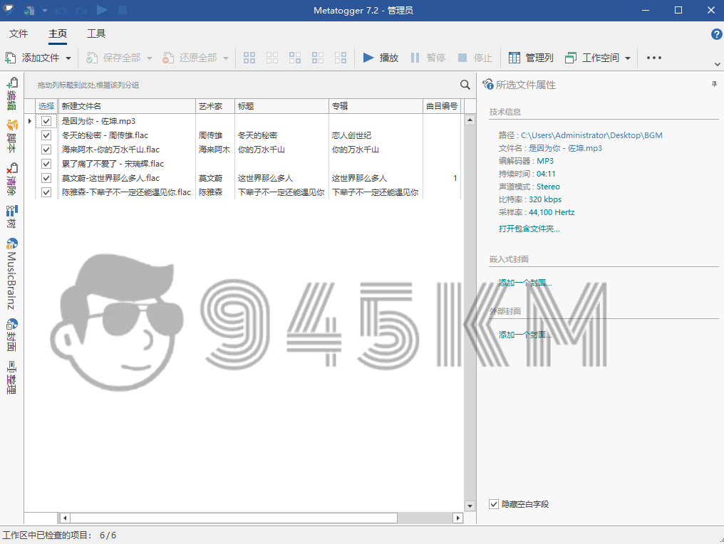 【Windows】Metatogger（ 音频文件标签编辑器） v7.2.0.0 绿色版插图